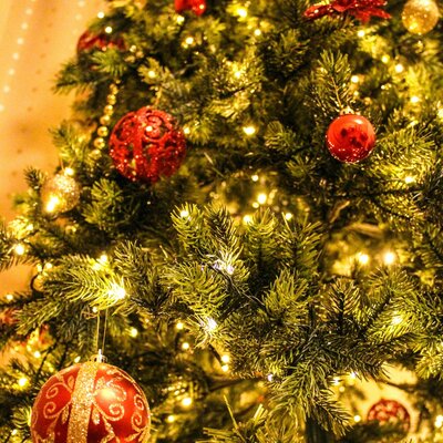 🎄 Vánoční pauza v FF MENU 🎄