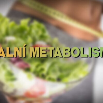 Bazální metabolismus - co to je a jak ho spočítat?